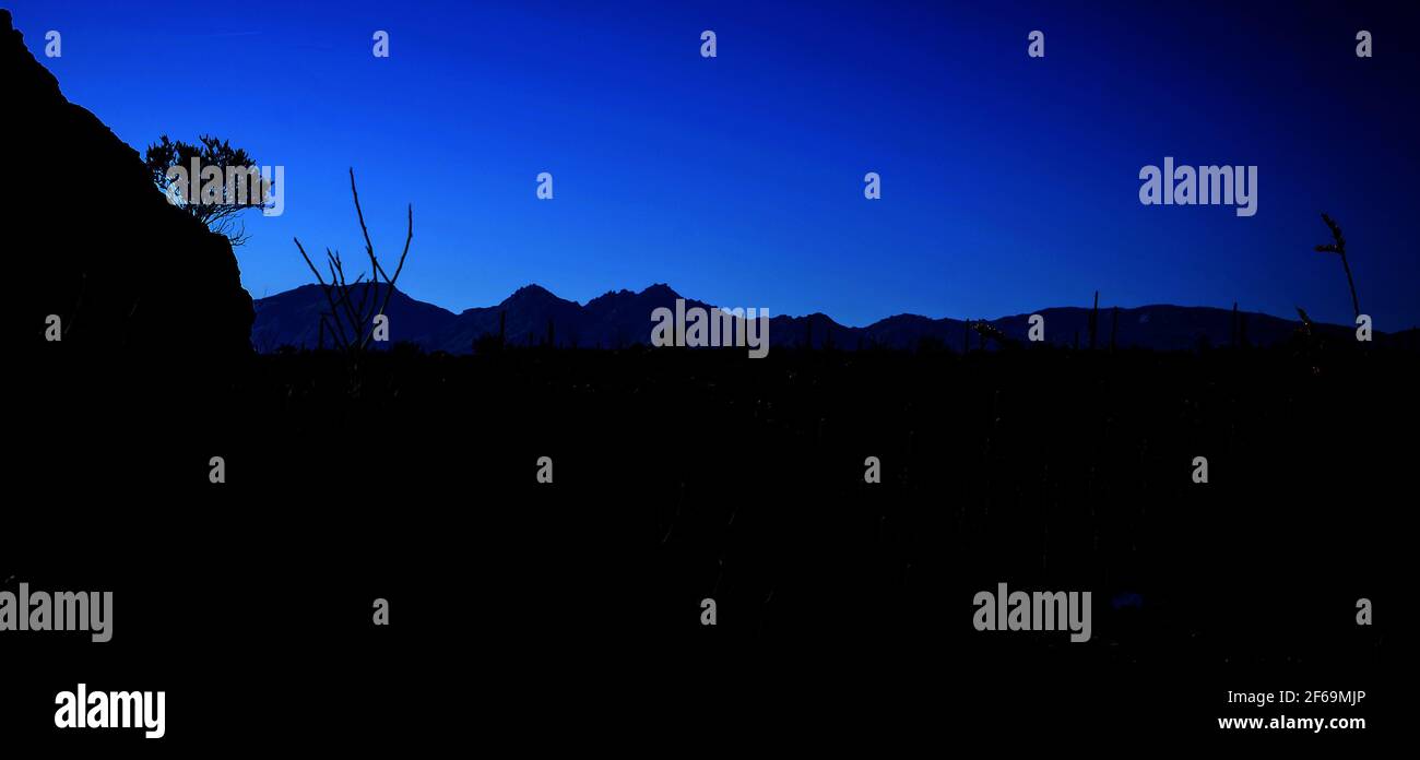 Sonora sonoran desert hi-res stock photography and images - Alamy