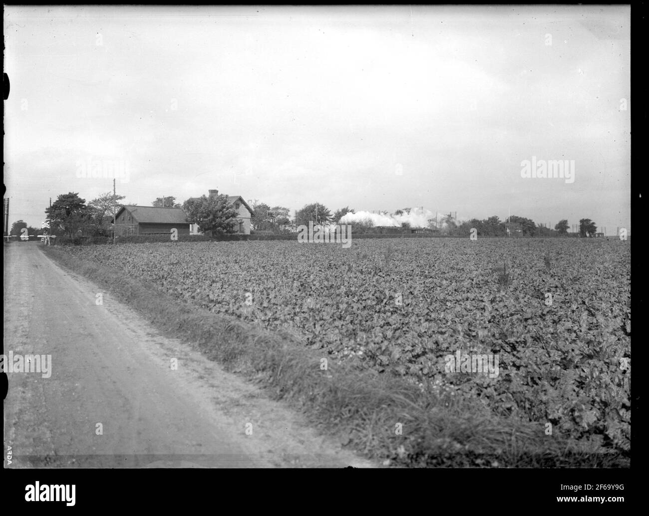 Arable land at railway transition Stock Photo Alamy