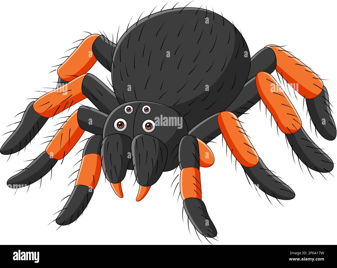 Cartoon spider tarantula on white background Stock Vector