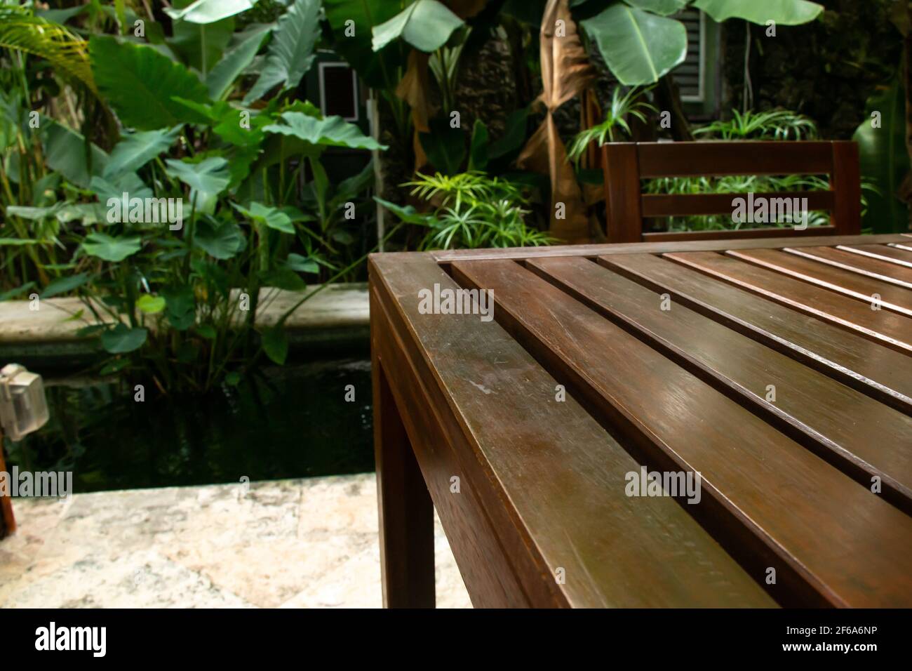 The corner of a mahogany wood slat table and a matching chair on a veranda surrounded by a moat and thick jungle foliage in the Caribbean. Stock Photo