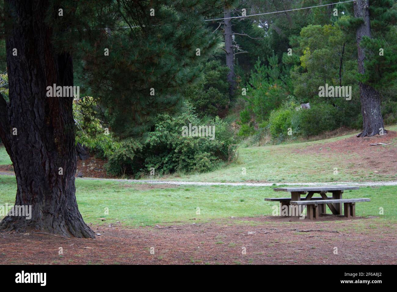 Stock green book hi-res stock photography and images - Alamy