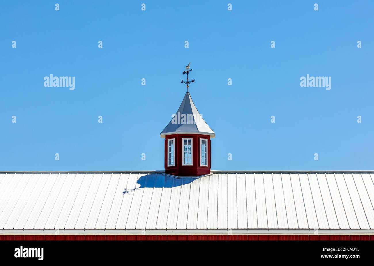 Detail of a metal roof, cupola and weather vane Stock Photo