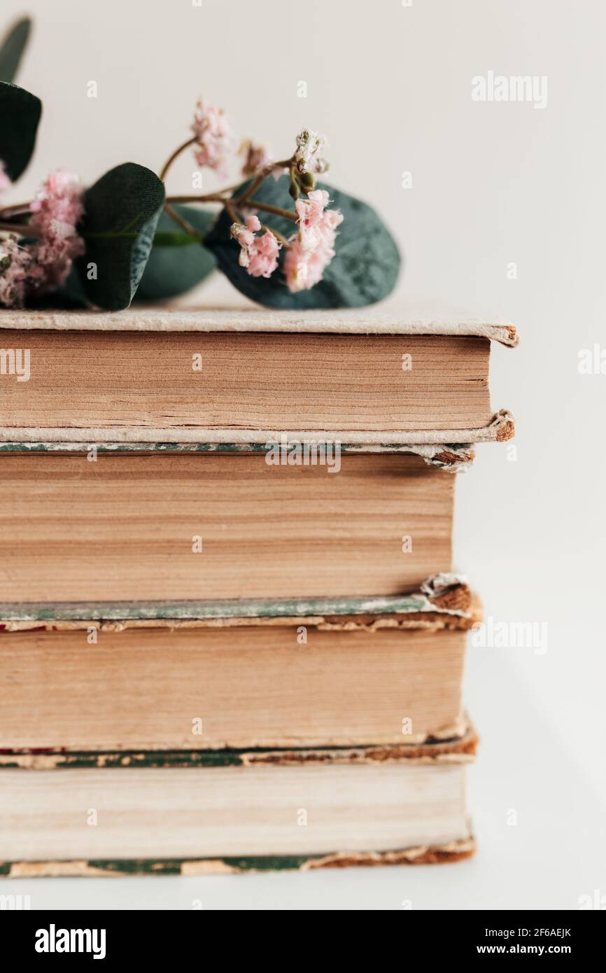 A stack of old books in the library, concept of learning, study and education, concept of science, wisdom and knowledge. High quality photo Stock Photo