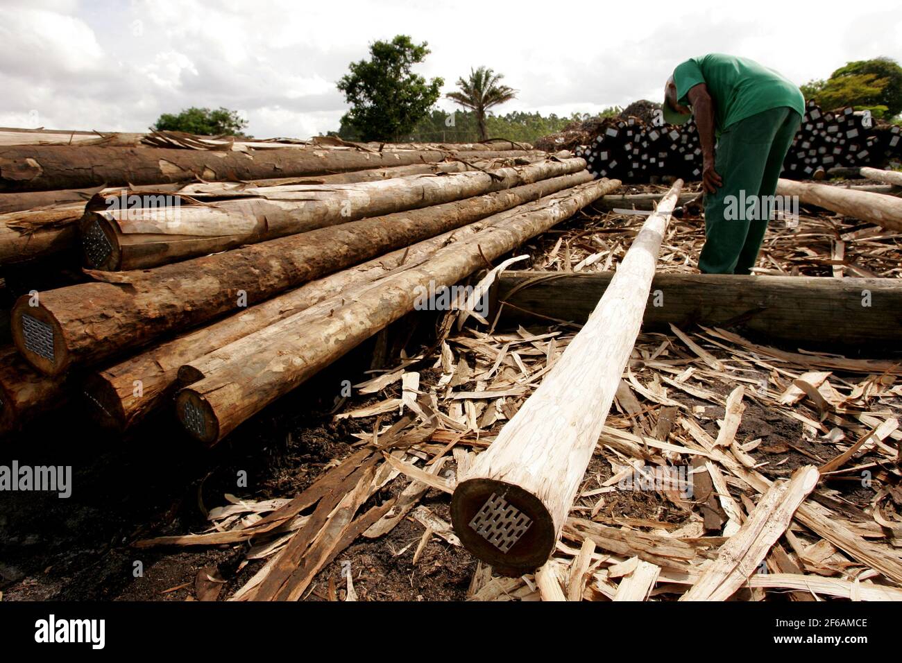 EUNAPOLIS, BAHIA / BRAZIL November 26, 2010 Autoclave treated
