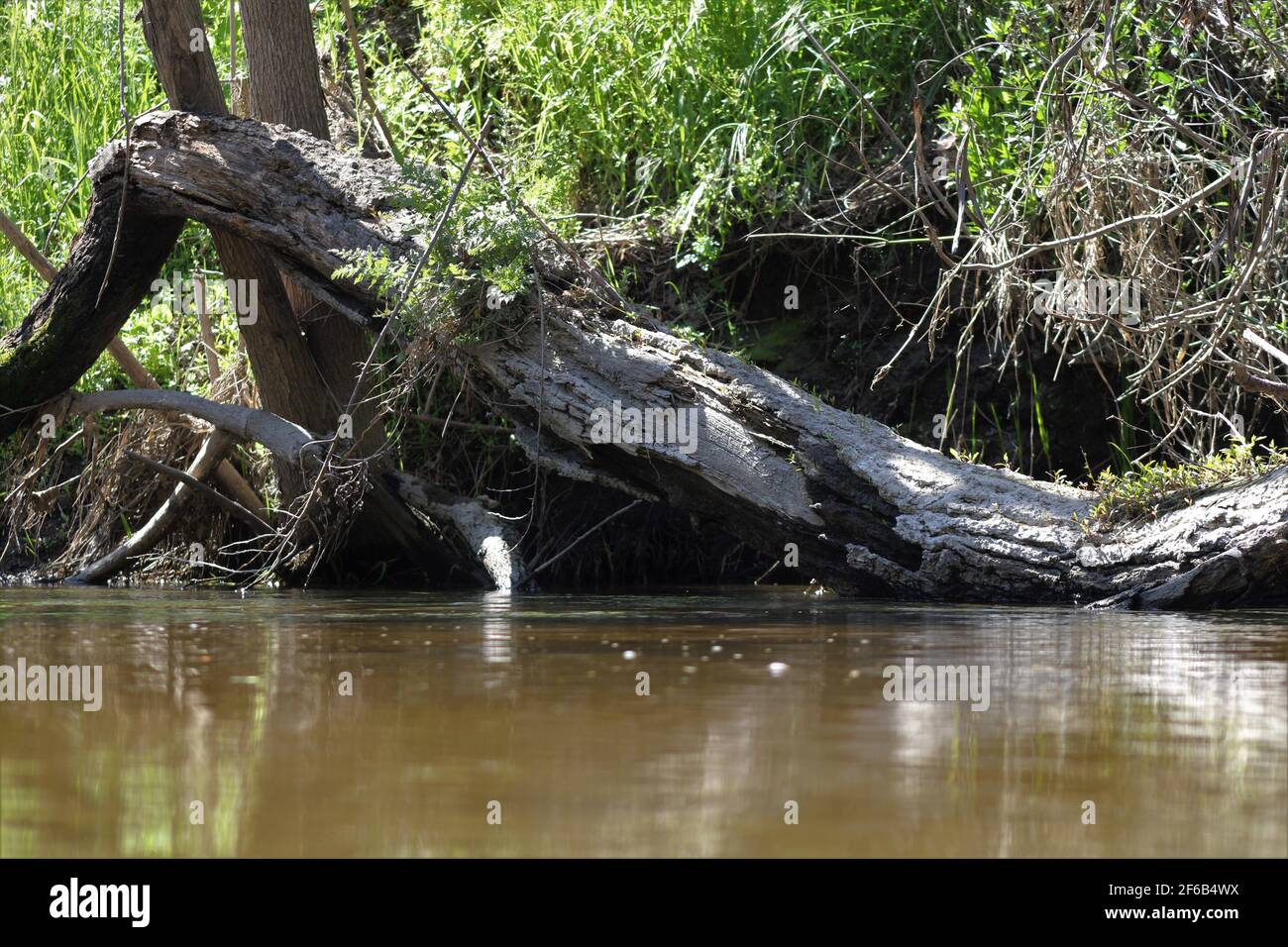 Lazy Rope Swing Stock Photo - Alamy