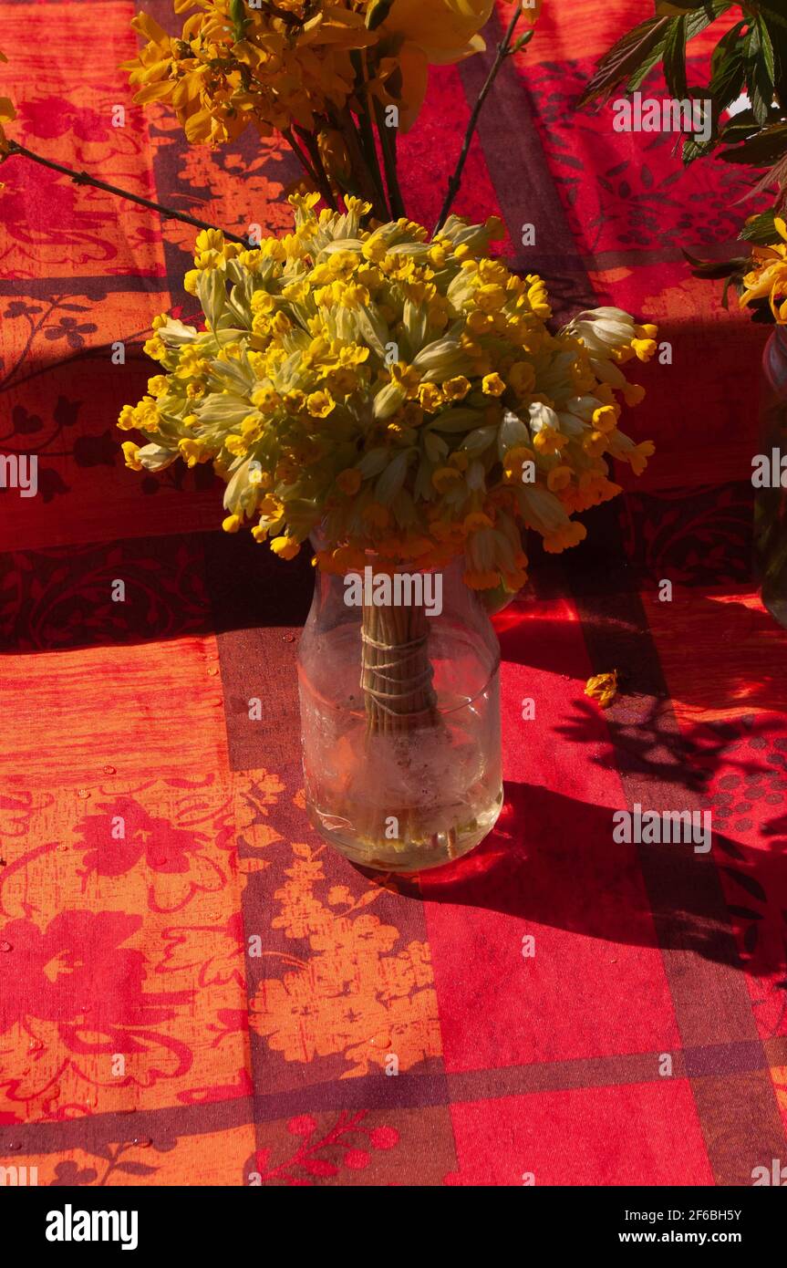 Vase of Cowslips for sale at Cazals market Stock Photo
