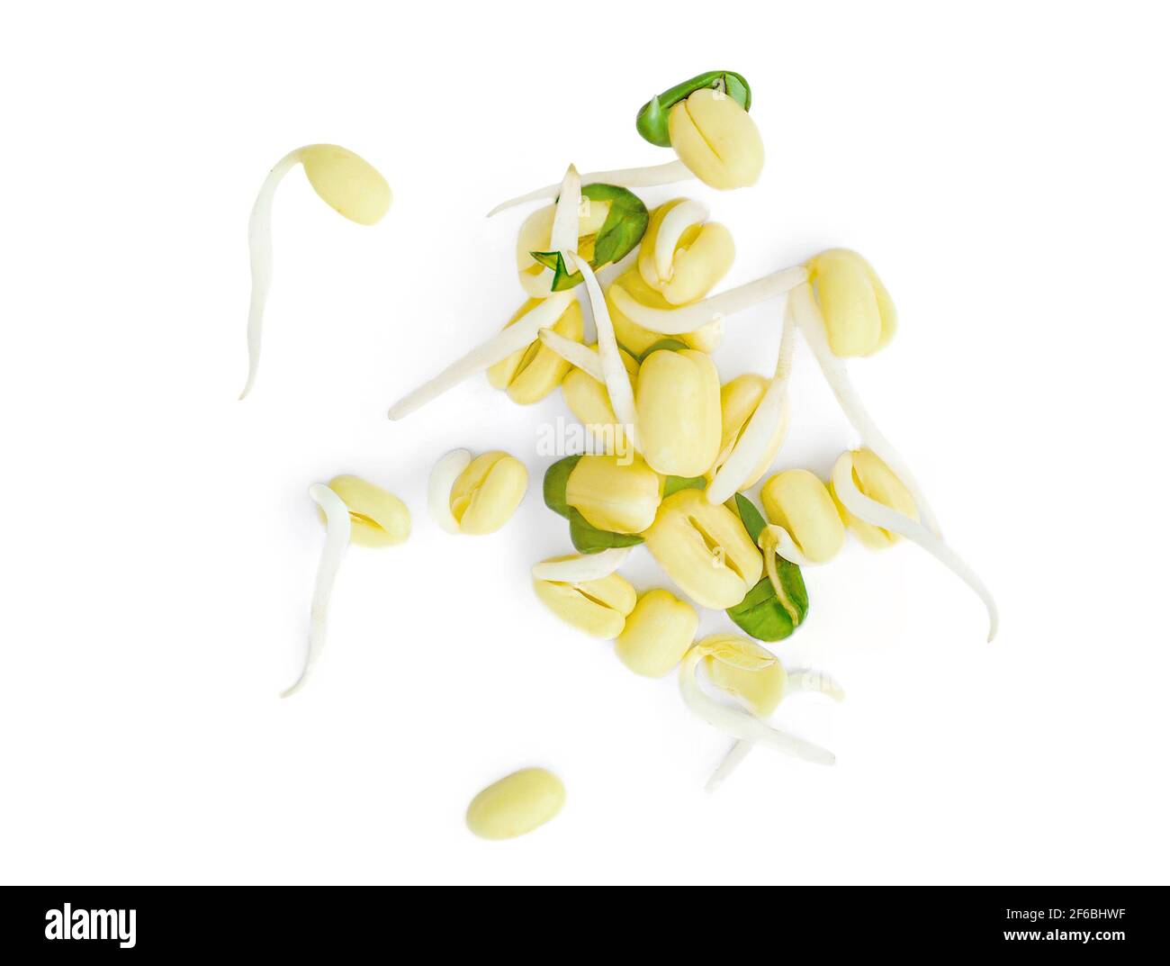 Bean Sprouts on isolated on a White Background. Moong or mung sprouts  Macro. Top view. Flat lay. Stock Photo