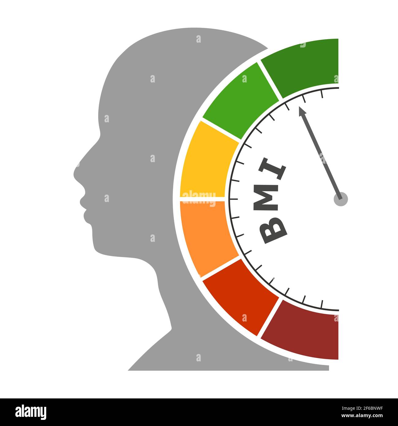 Body mass index meter read level result. Color scale with arrow from red to green. The measuring device icon. Colorful infographic gauge element. Head Stock Vector