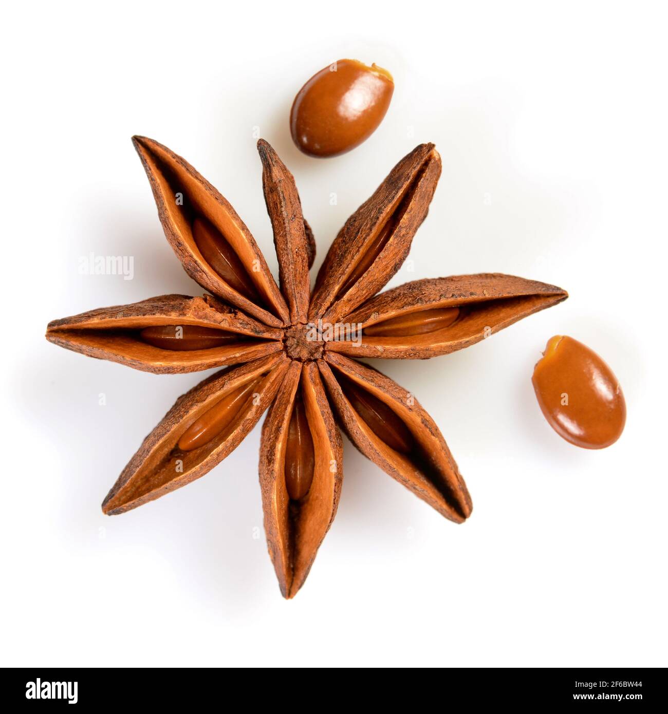 Star anise. Single star anise fruit with two seeds. Macro closeup