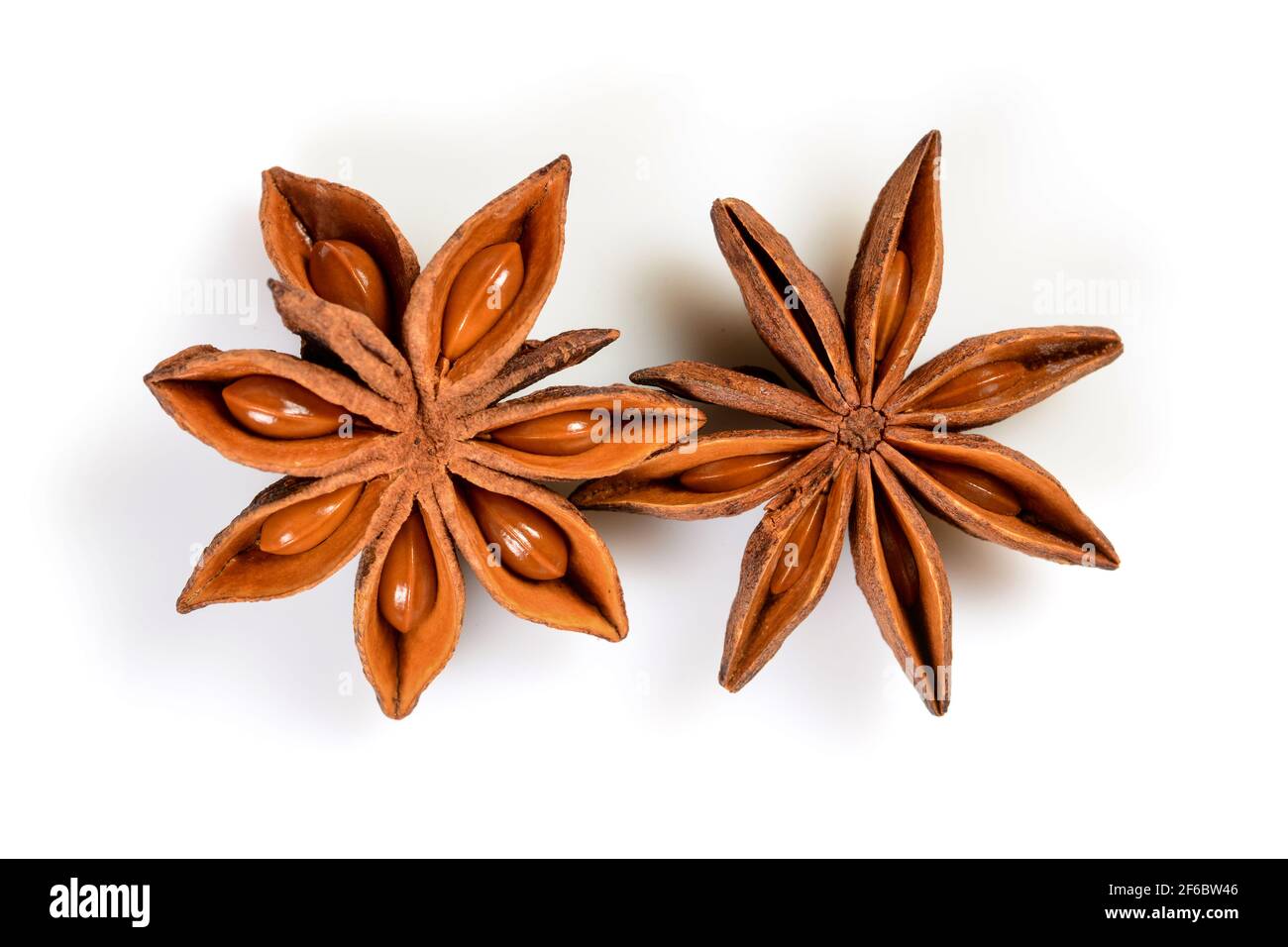 Star anise. Two star anise fruits. Macro close-up Isolated on white  background with shadow, top view of chinese badiane spice or Illicium verum  Stock Photo - Alamy