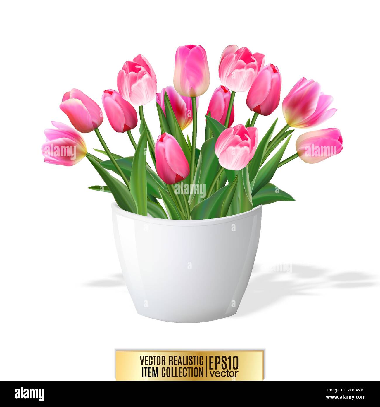 Bouquet of pink tulips in vase isolated on white. Quality realistic ...