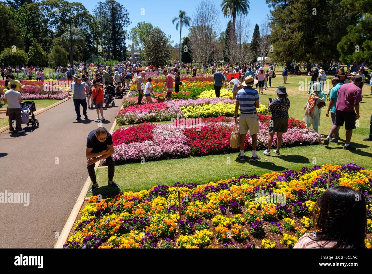 Carnival of Flowers Toowoomba Stock Photo Alamy