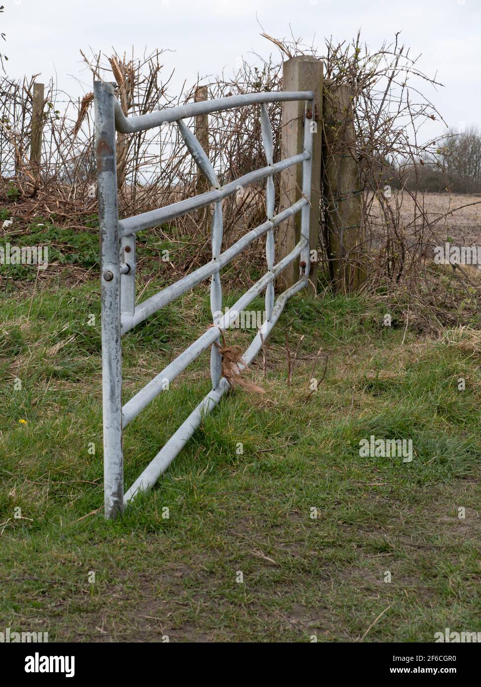 A damaged, metal farm gate between fields near Old Dilton, Westbury, Wiltshire, England, UK. Stock Photo