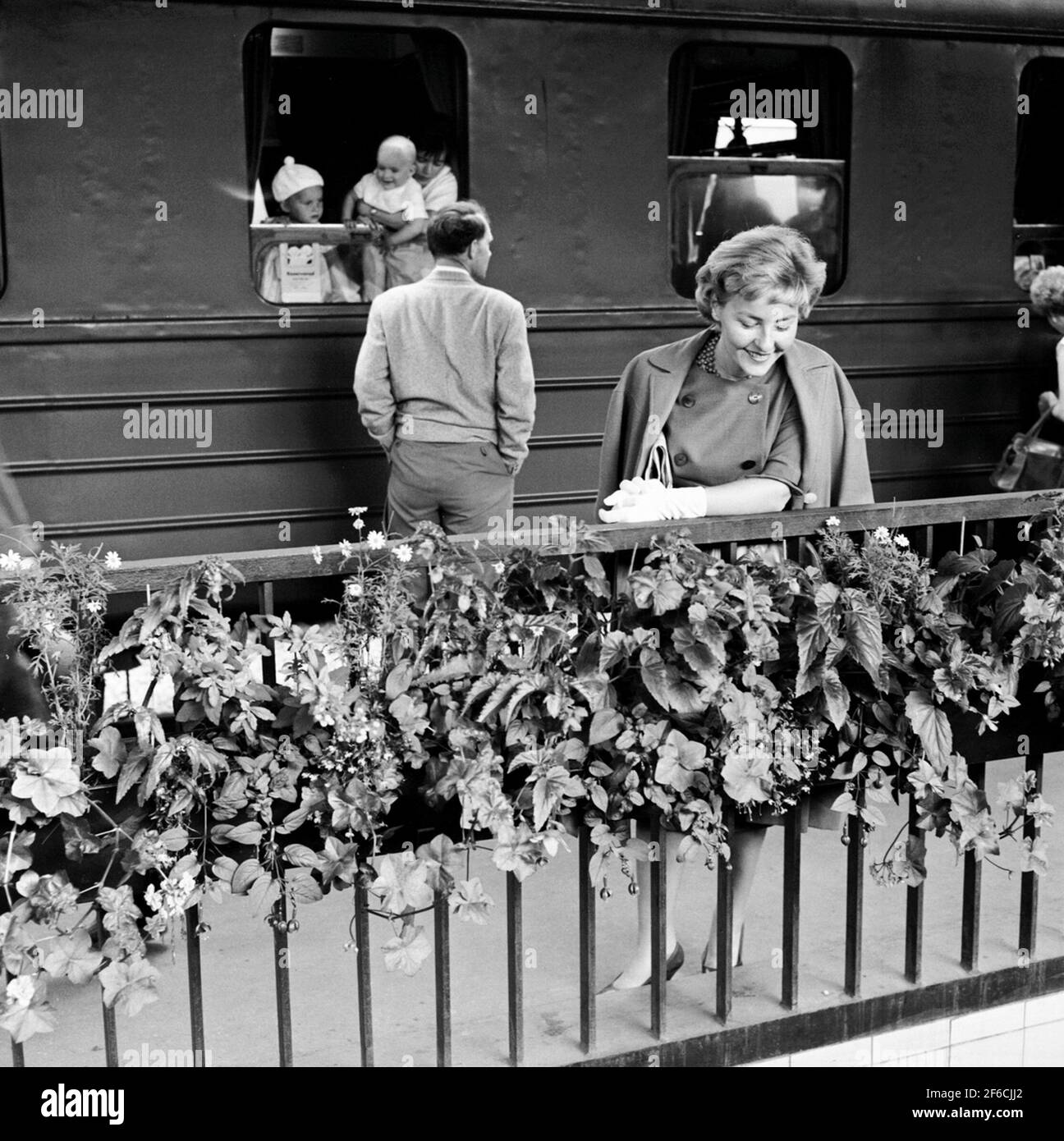 Flower boxes at central station platforms Stock Photo Alamy