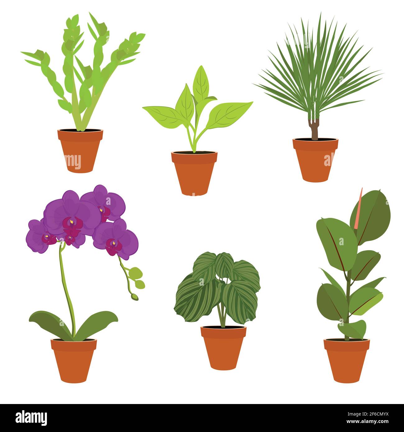 Various potted houseplants. Garden potted plants. Vector set potted