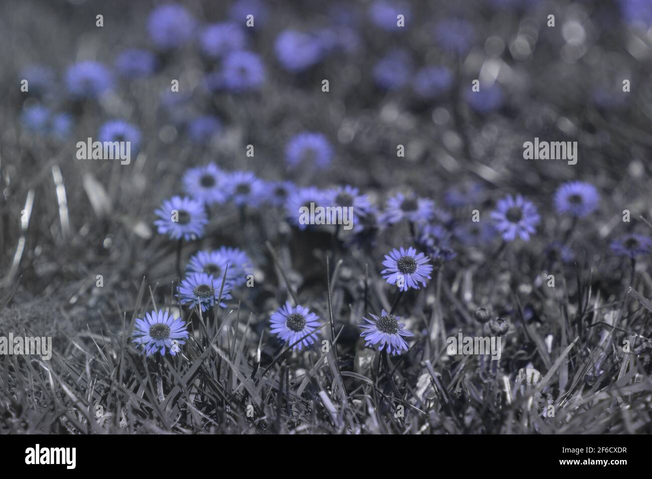 Absorb Light High Resolution Stock Photography and Images Alamy