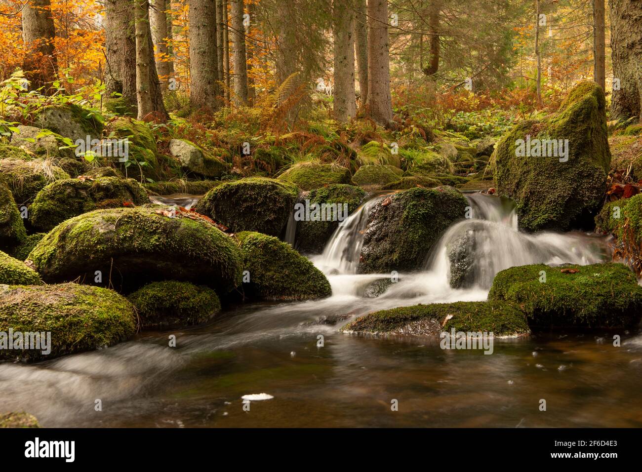 Trees, rocks and a running river is a pretty idyllic autumn forest Stock Photo