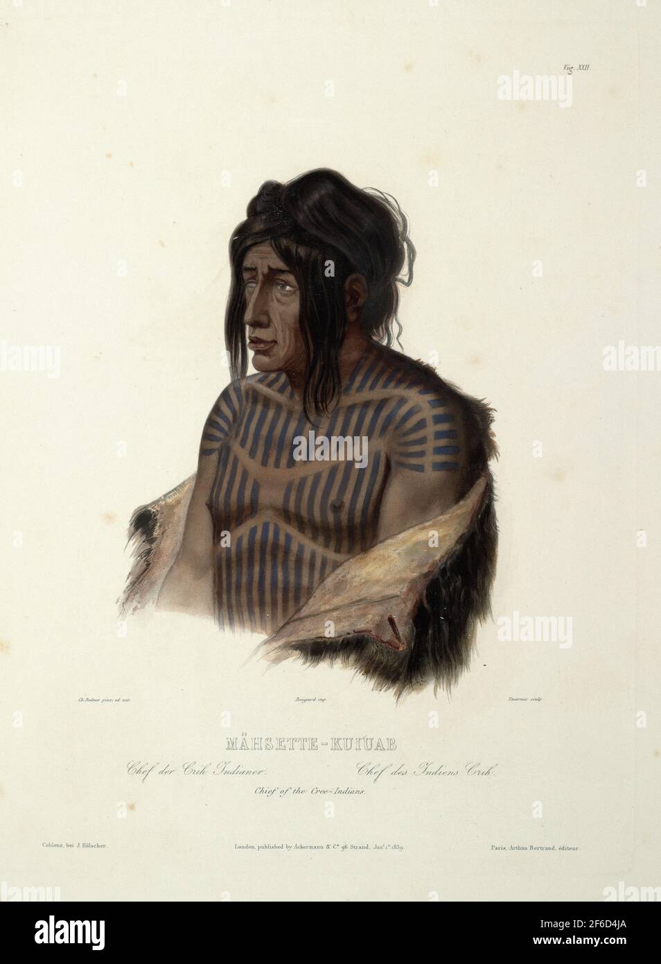 Karl Bodmer  - Mahsette Kuiuab Chief Cree Indians Plate 22 Volume 1 Travels Interior 1843 Stock Photo