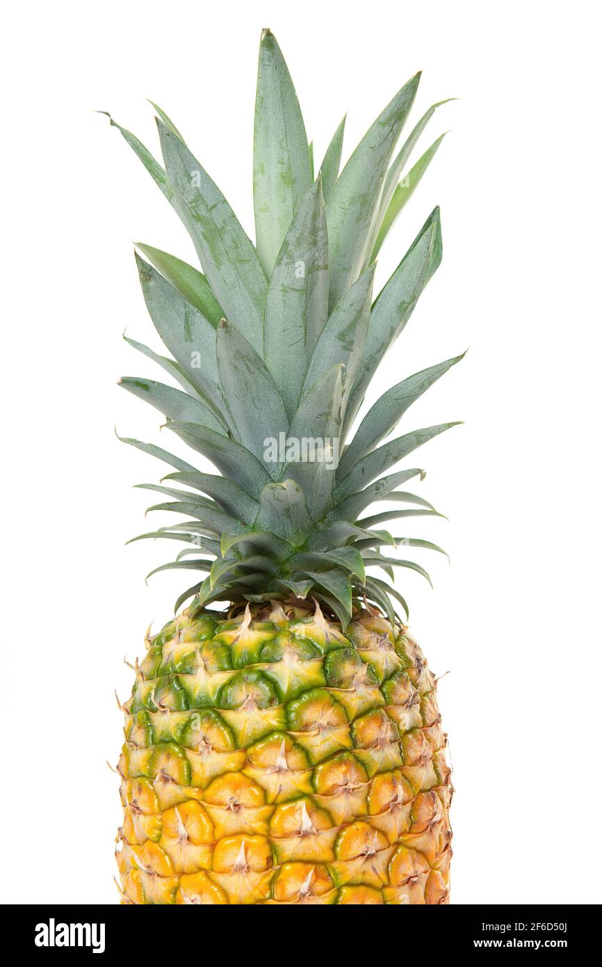 Half part of a pineapple isolated on a white background Stock Photo