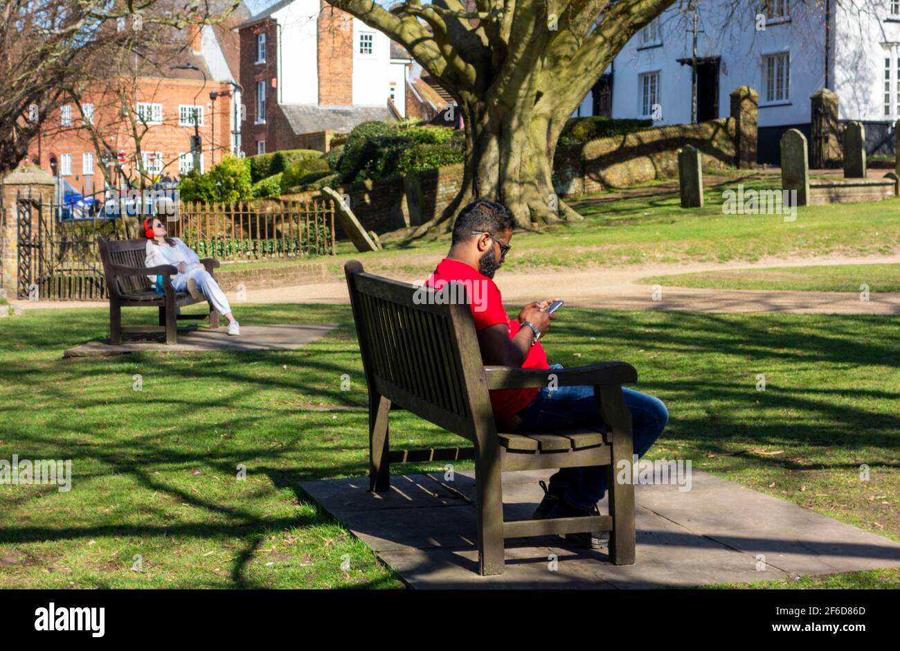 St. Albans Cathedral gardens people sitting on bench Stock Photo Alamy
