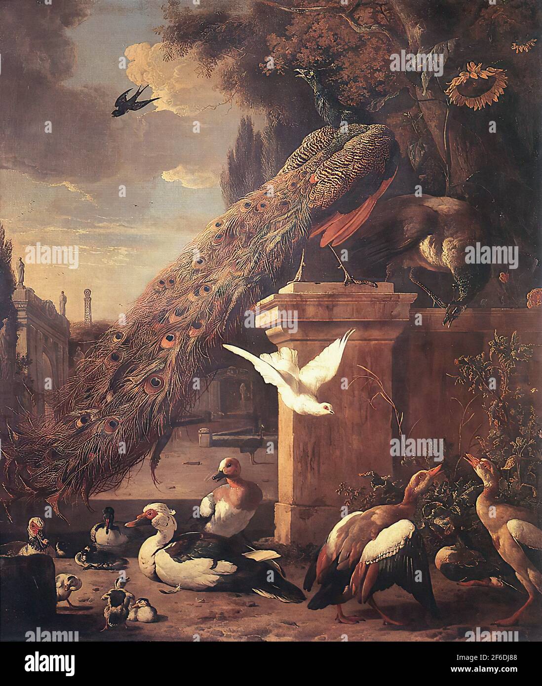 Melchior d'Hondecoeter - Peacocks Ducks 1680 Stock Photo