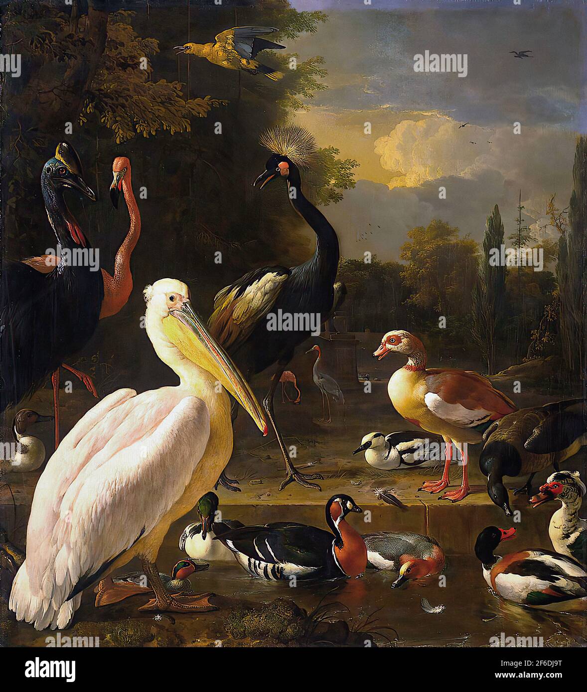 Melchior d'Hondecoeter - Pelican Other Birds near Pool Floating Feather ...