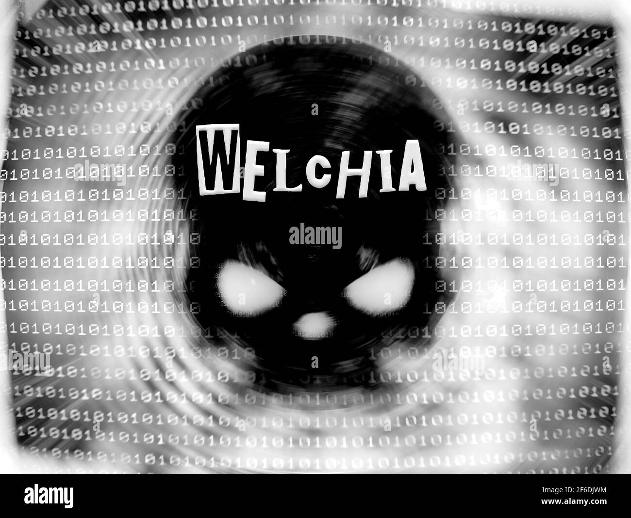 Welchia worm, Nachi worm, Virus, Binary background, Black and White, Malicious software Stock Photo