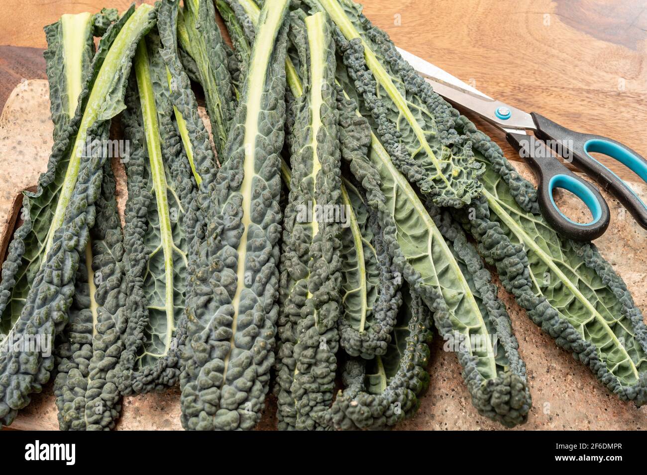 Vegetarian Cooking With Black Flat Leaves Of Cavolo Nero Tuscan Cabbage vegetarian-cooking-with-black-flat-leaves-of-cavolo-nero-tuscan-cabbage