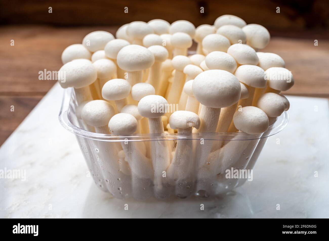 White and brown shimeji edible mushrooms native to East Asia, buna-shimeji is widely cultivated and rich in umami tasting compounds Stock Photo
