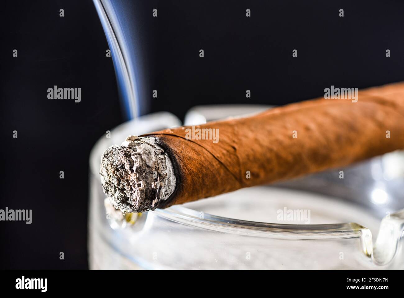 Lighting cuban cigar dark background. Tobacco smoking. Tobacco smoke