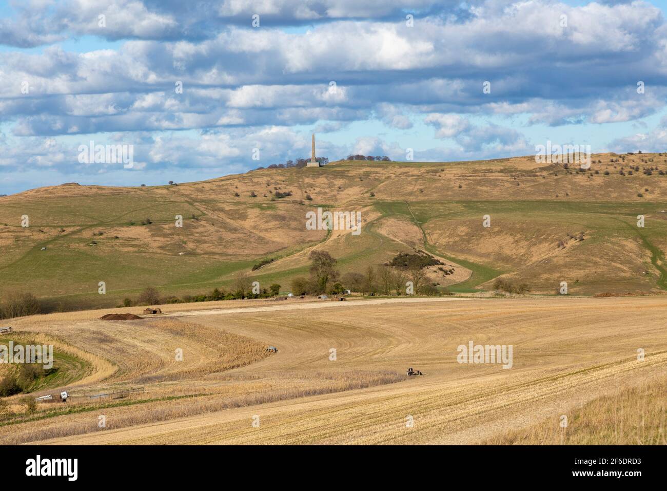 Chalk downland landscape view to Lansdowne monument on Cherhill Downs, Wiltshire, England, UK Stock Photo