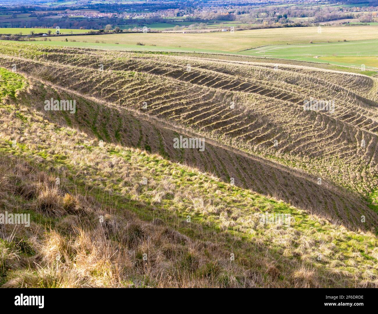 Terracettes hi-res stock photography and images - Alamy