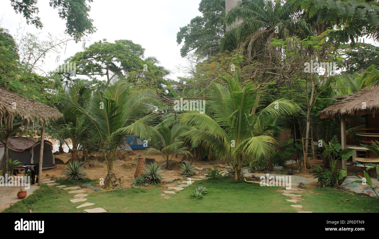 A view of the yard and trees looking toward the beach at a tropical surf camp in Ghana. Stock Photo