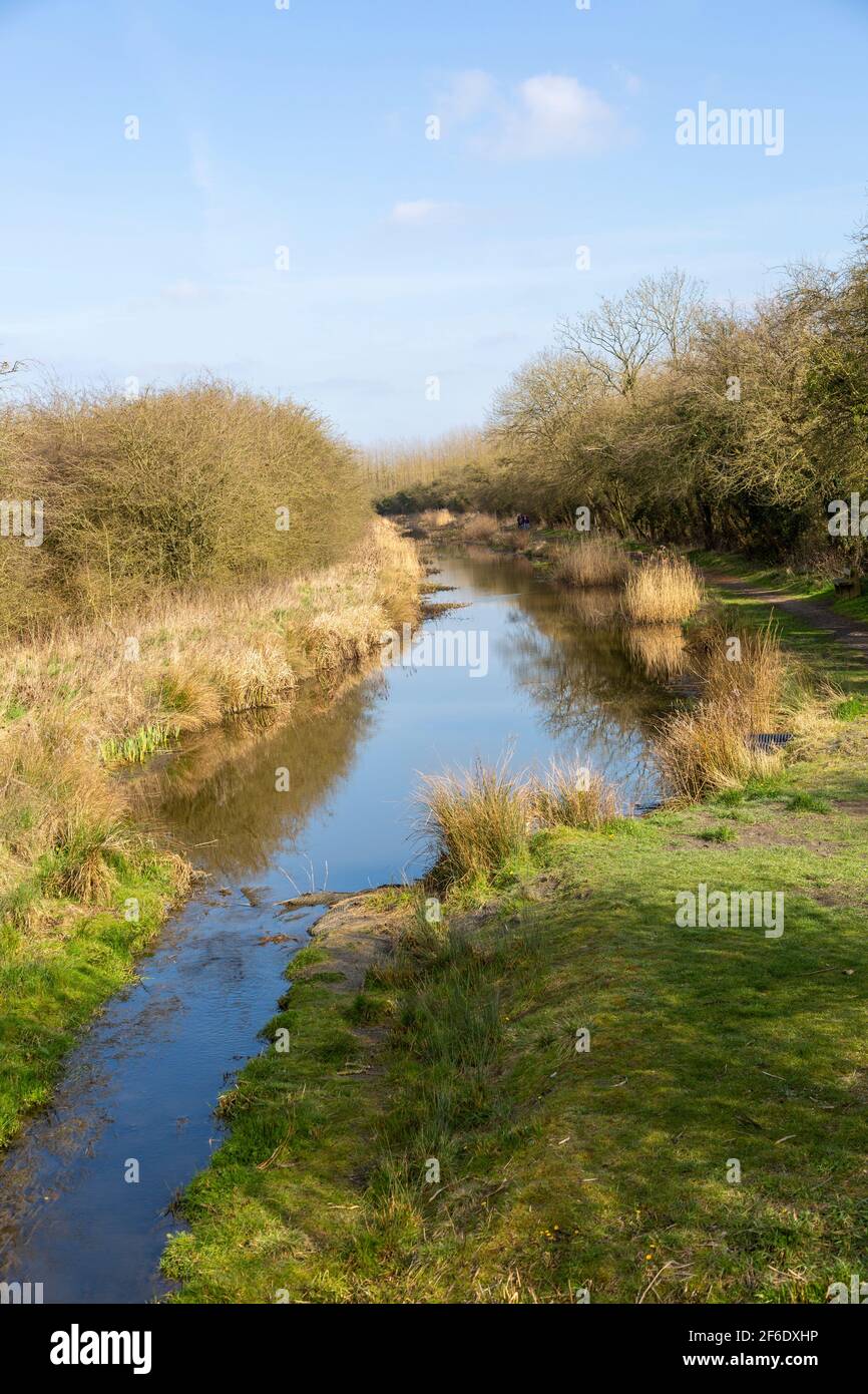 Reclaimed canal hi-res stock photography and images - Alamy