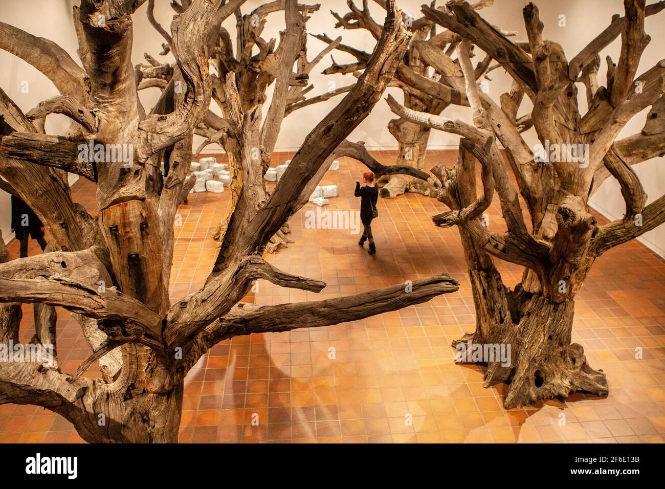 ai weiwei trees Stock Photo