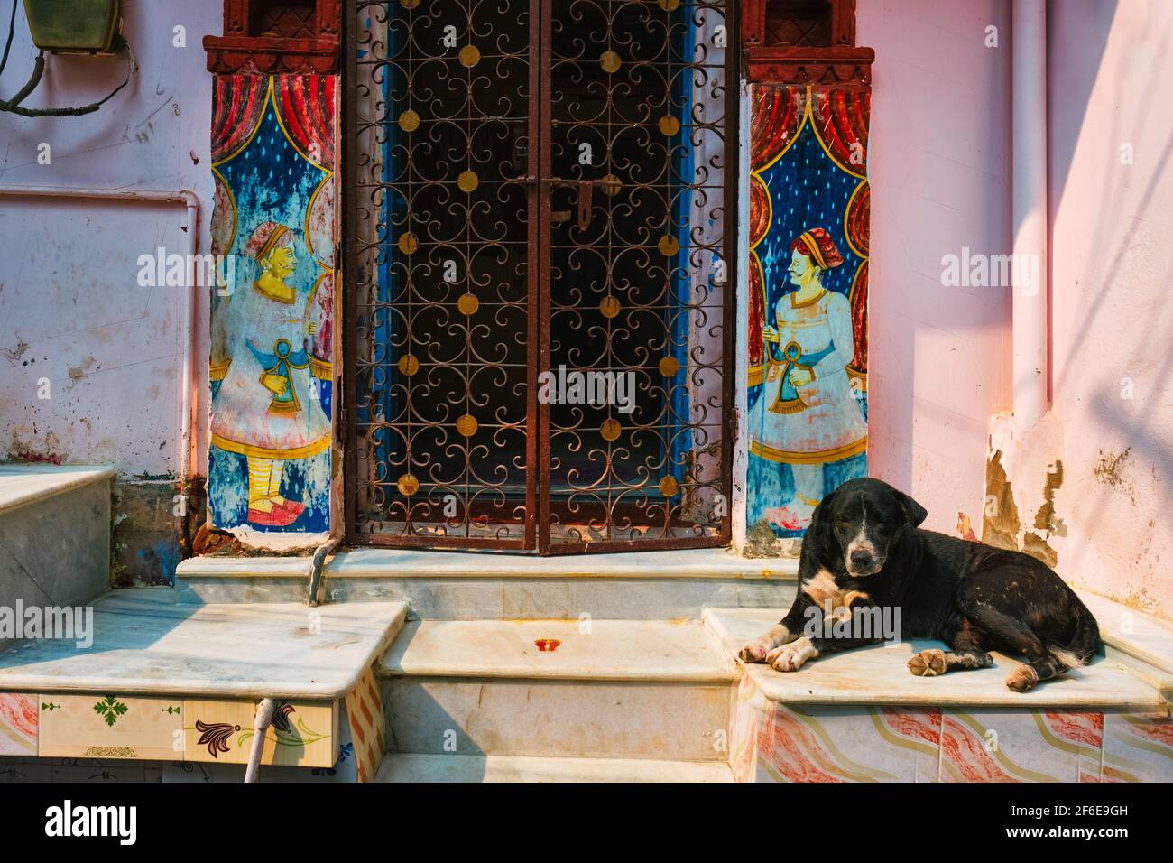 Dog in front of a house door in India Stock Photo
