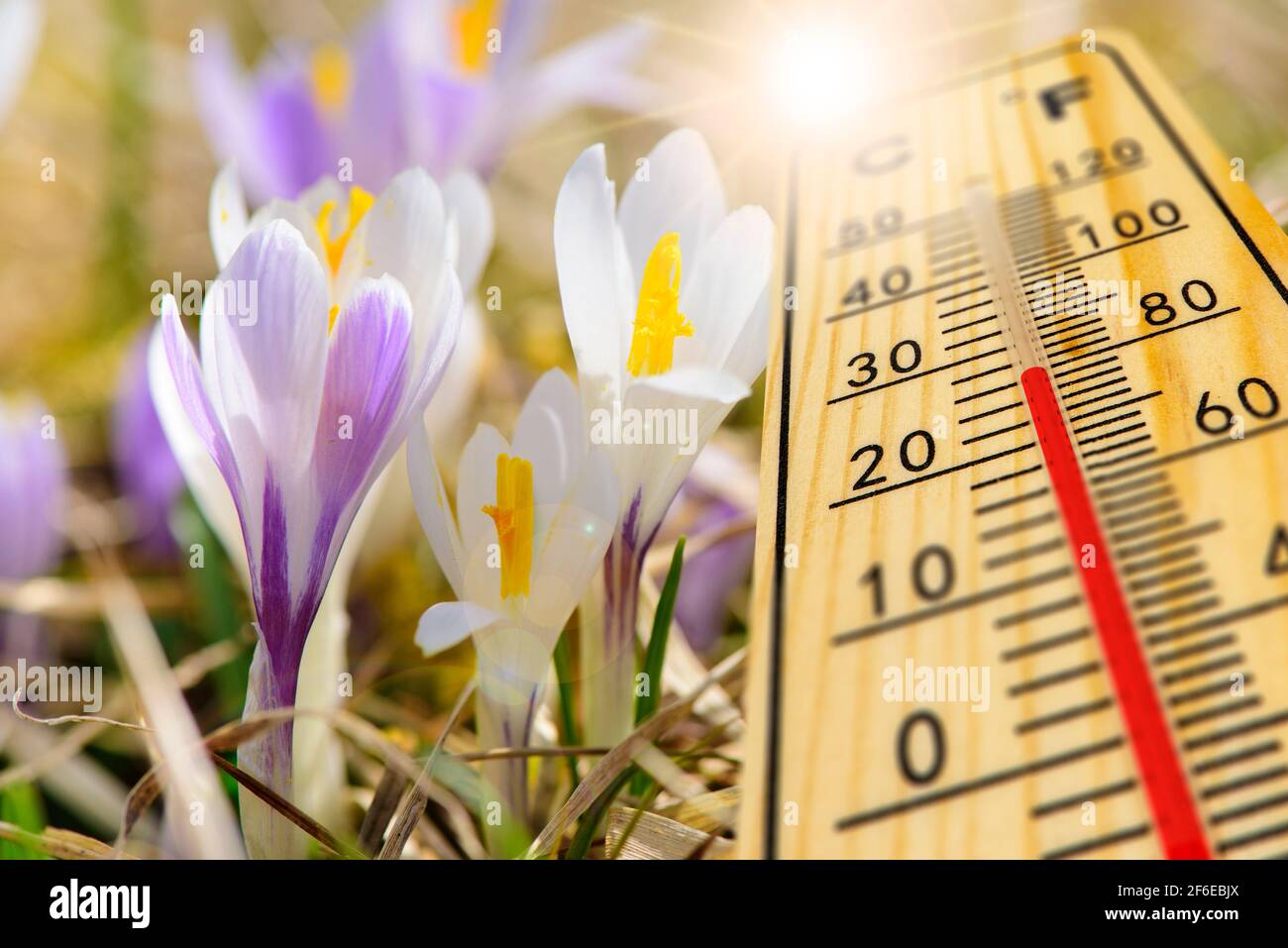 warm temperature on thermometer at springtime Stock Photo Alamy