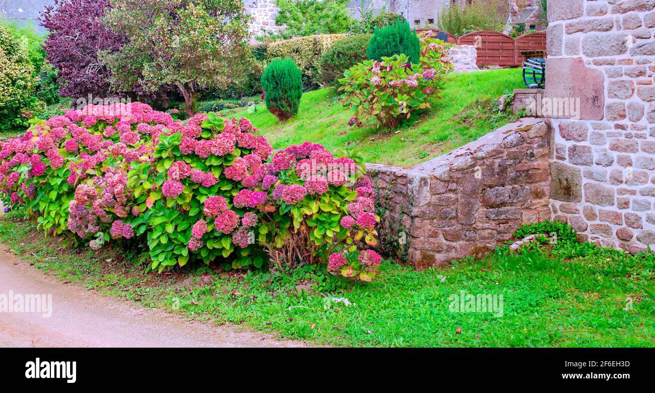 Domestic garden in the french Normandy in a cloudy day Stock Photo