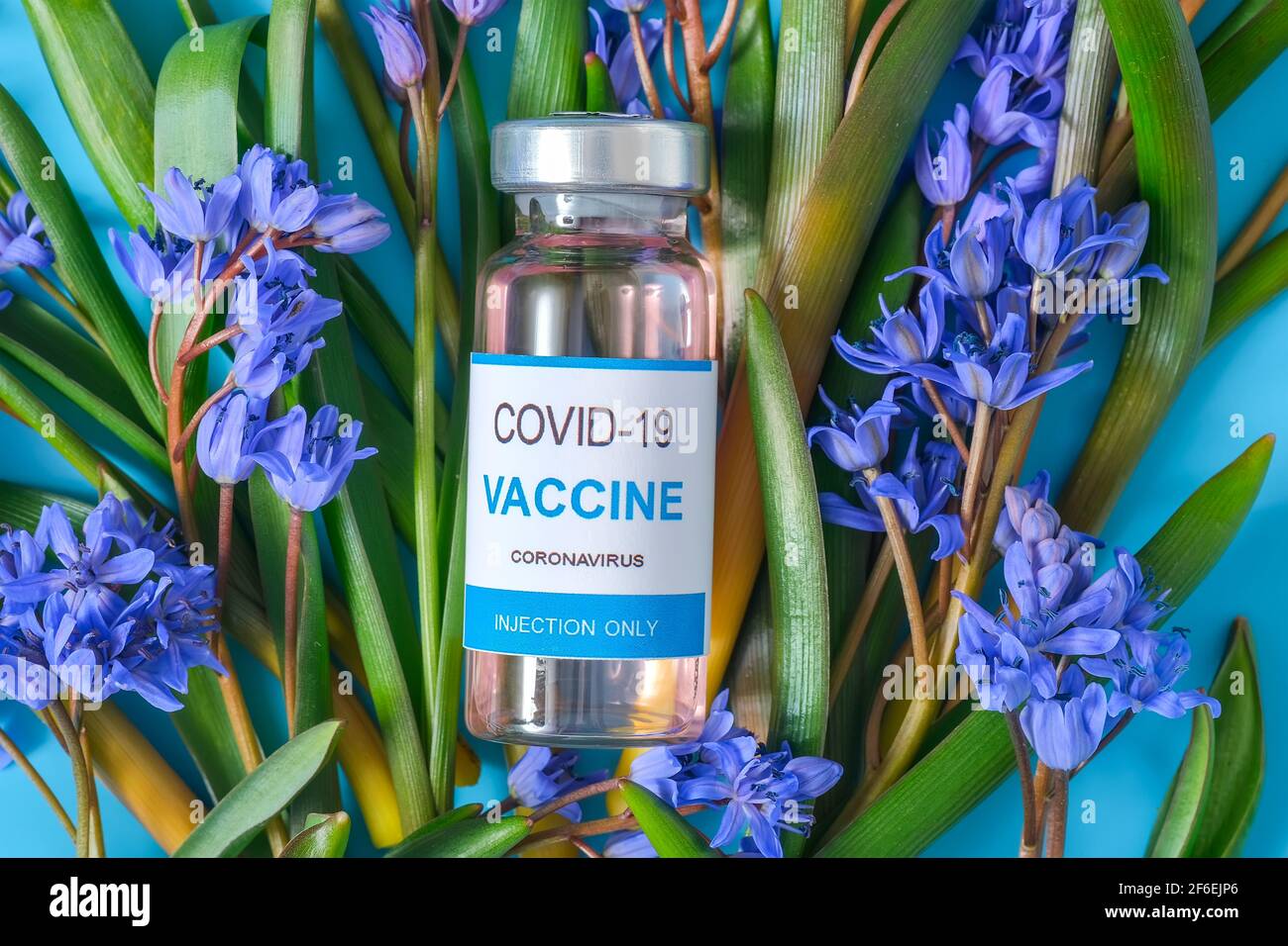 Vaccine vial lying on hi res stock photography and images Alamy Vaccine vial lying on hi res stock photography and images Alamy