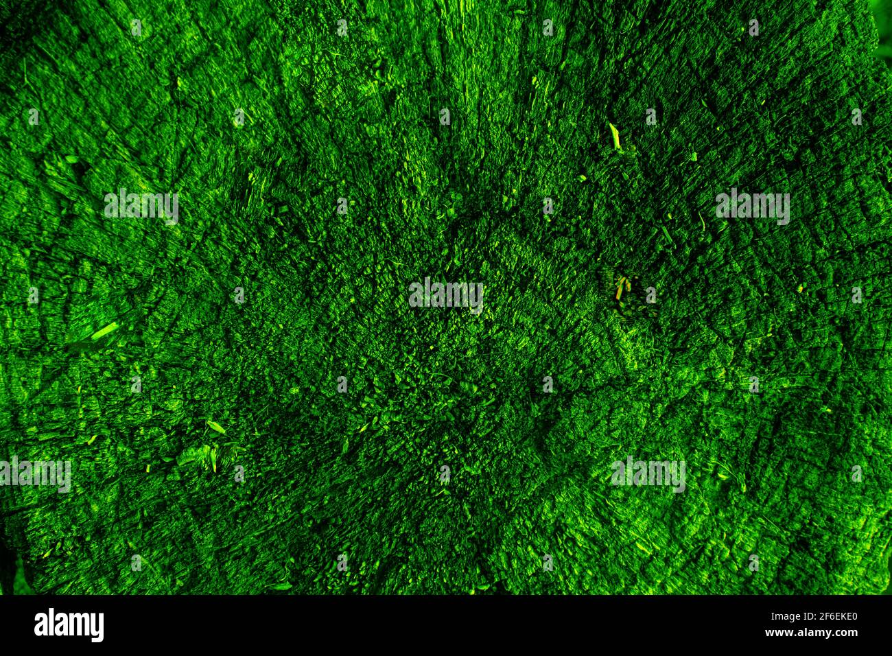 Bright green abstract background with a wood texture Stock Photo - Alamy