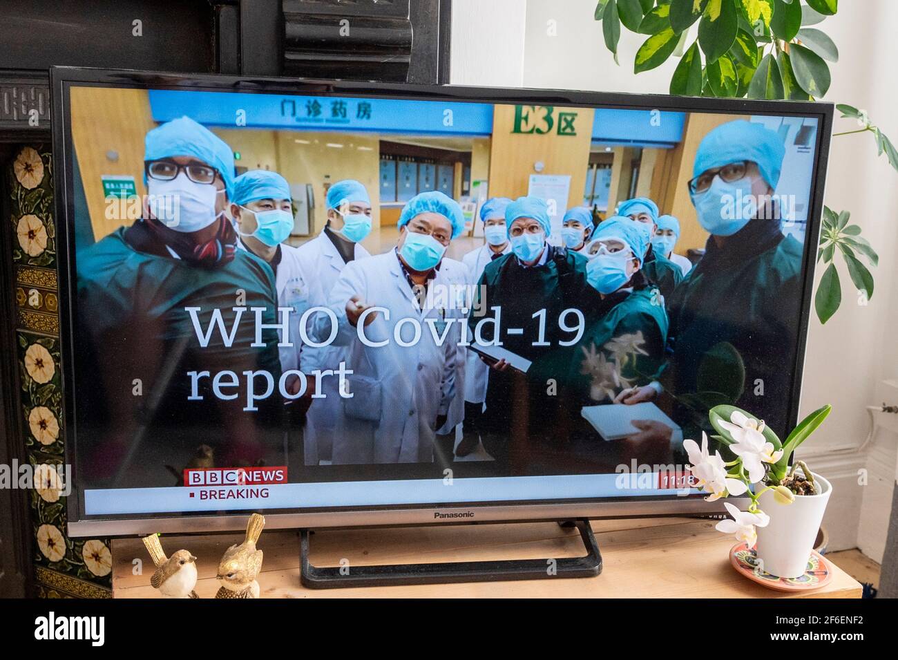 Televised news of the release of a World Health Organisation report on Covid-19 Stock Photo