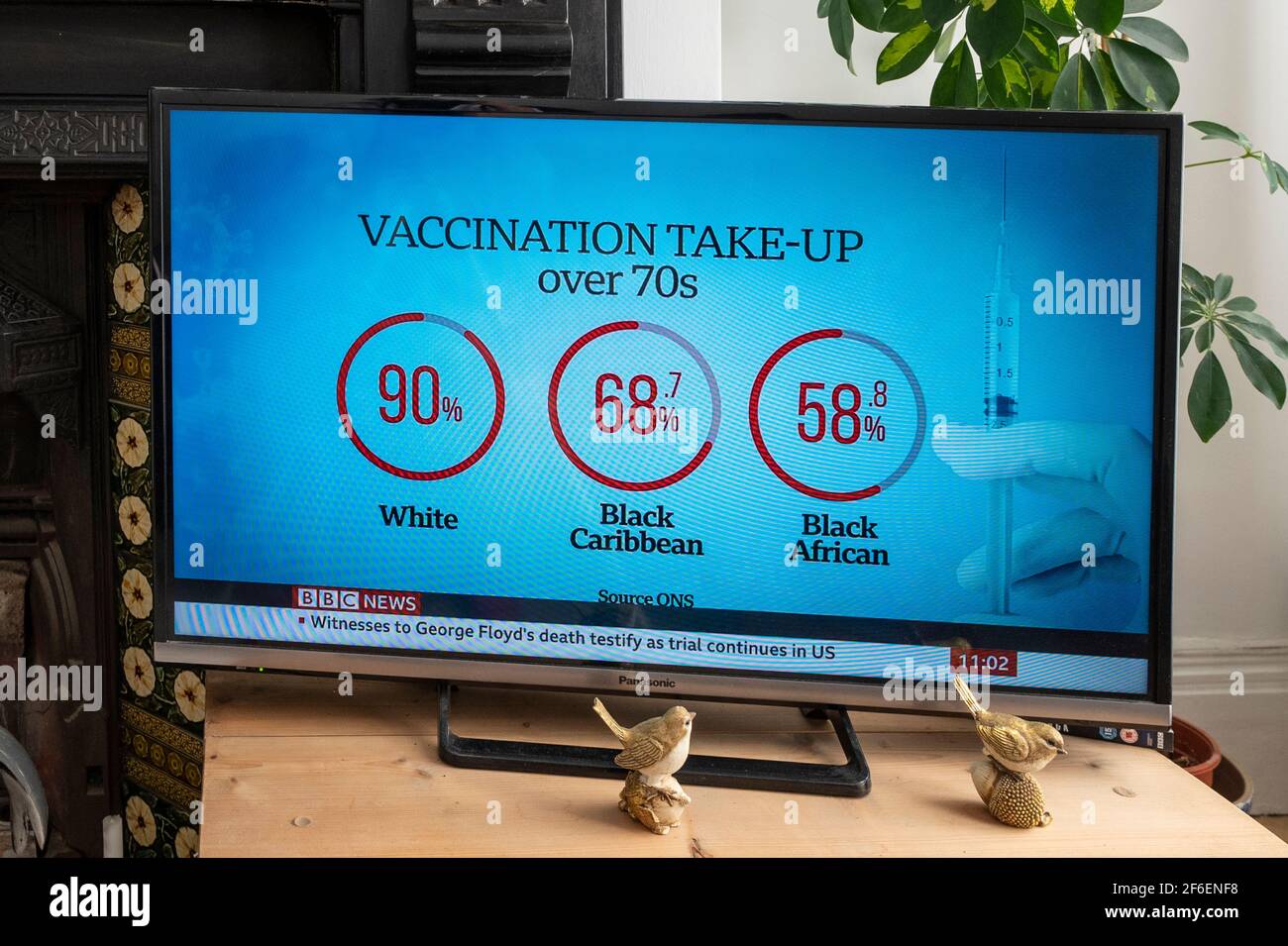Graph comparing vaccination take-up between various ethnic groups of over seventy year olds in the UK. Stock Photo