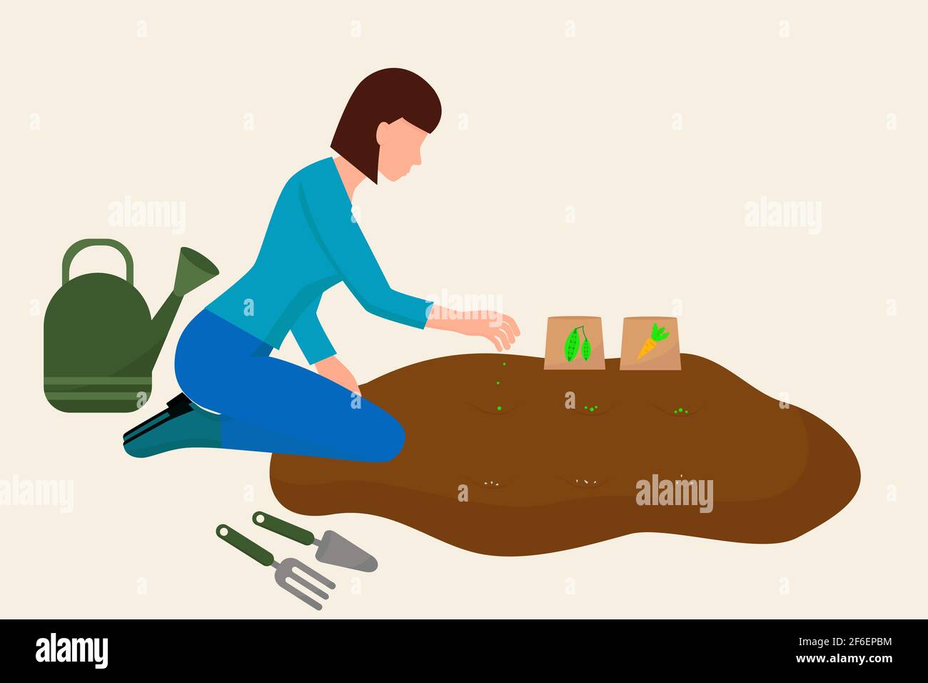The girl is planting a vegetable garden. A young woman is engaged in agriculture. Spring sowing of seeds. Vector, concept. Stock Vector