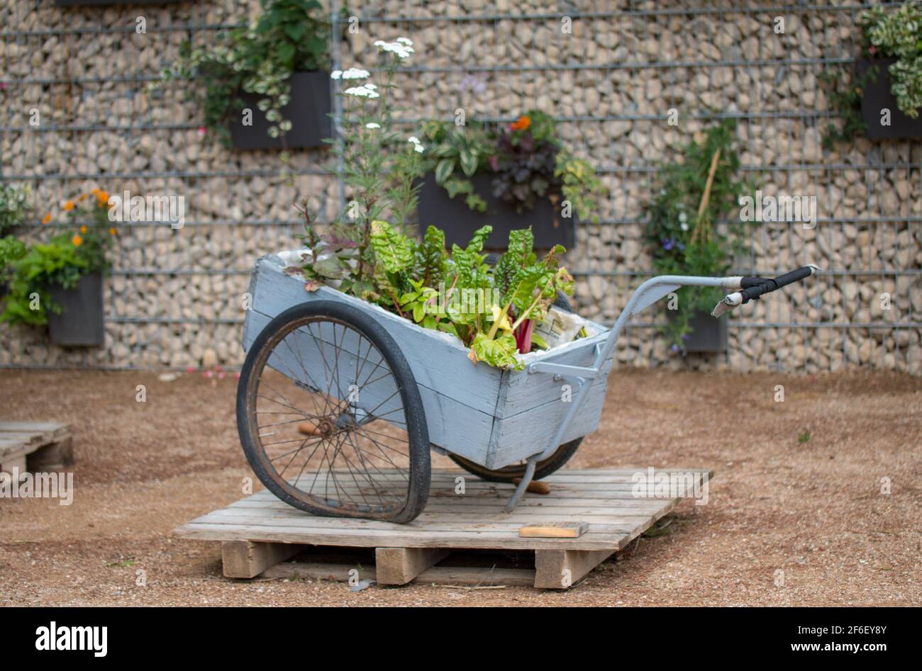 old wooden wheelbarrow with flowers decoration Stock Photo