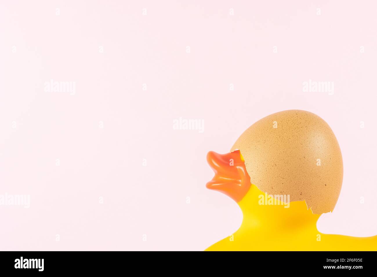 Rubber duck with cracked eggshell on pastel pink background. Easter minimal concept. Creative Happy Easter or spring layout. Stock Photo