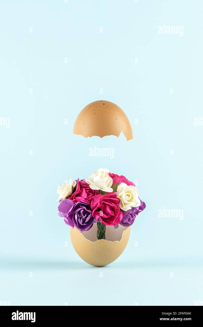 Spring flowers in cracked eggshell against pastel blue background. Easter minimal concept. Creative Happy Easter or spring layout. Stock Photo