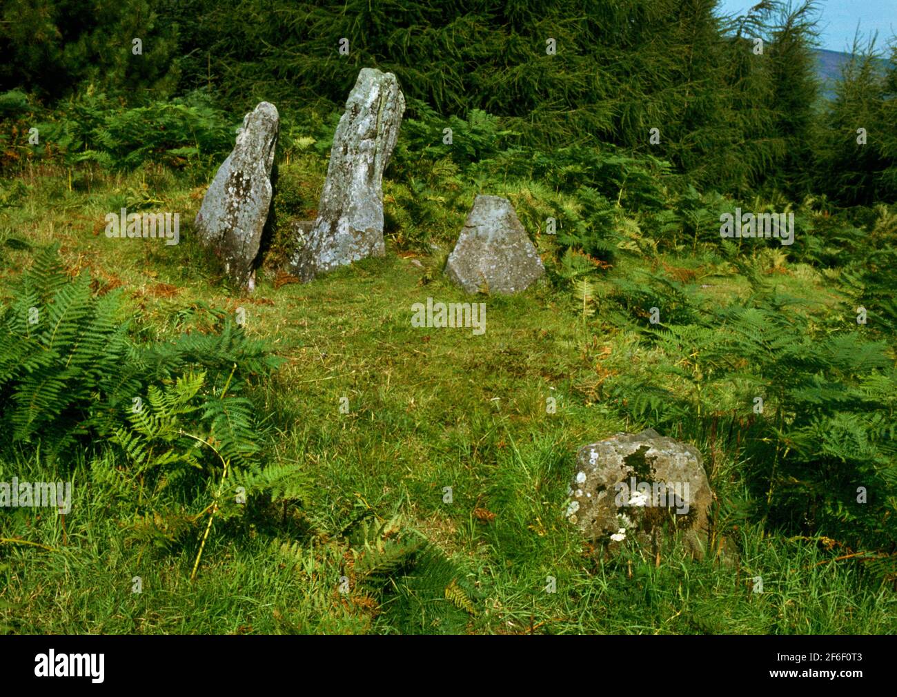 View NNW of Monamore Neolithic chambered tomb, Arran, Scotland, UK, showing sandstone portals to the segemented burial chamber & remains of a facade. Stock Photo