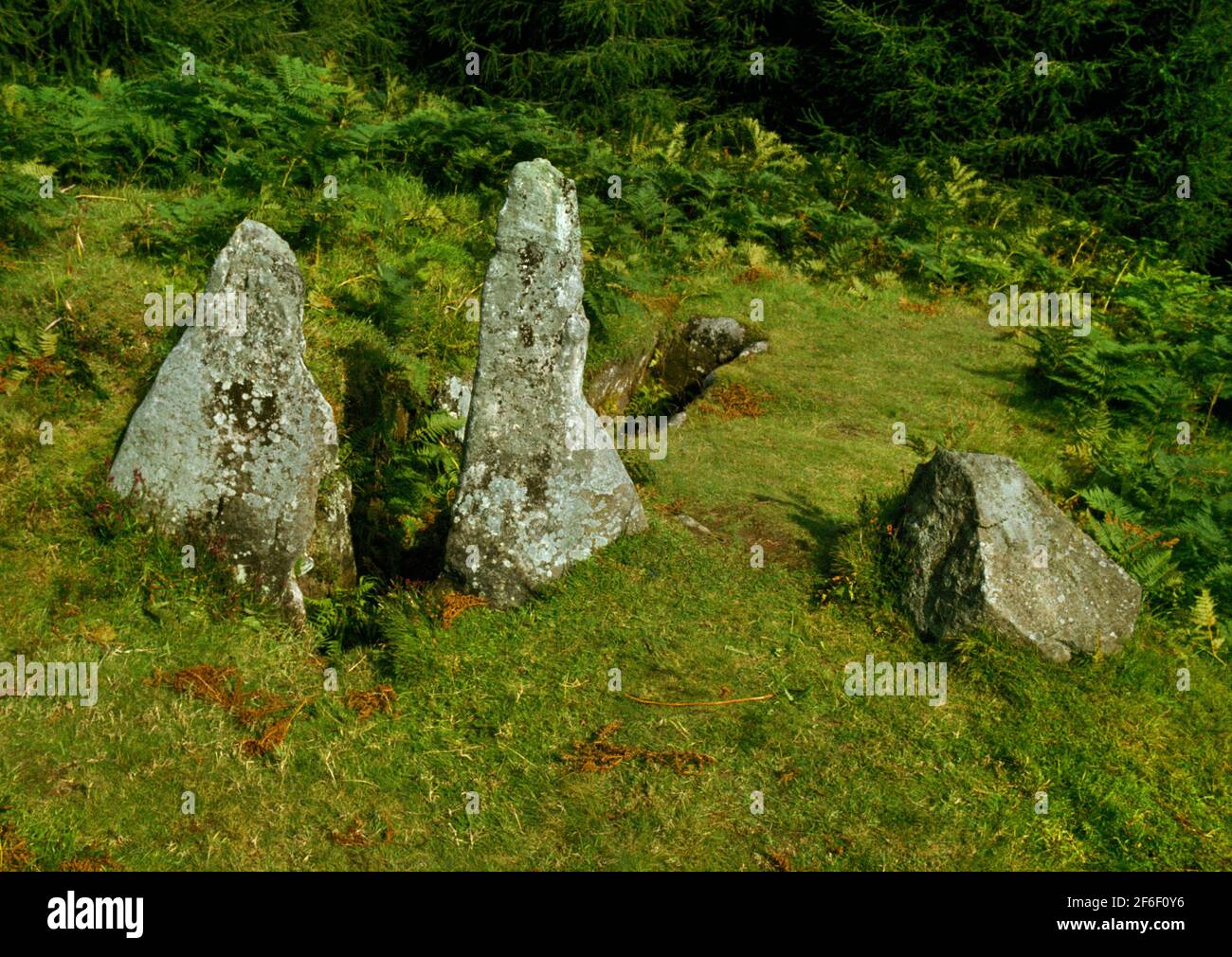 View N of Monamore Neolithic chambered tomb, Arran, Scotland, UK, showing sandstone portals, segemented burial chamber & remains of a curving facade. Stock Photo