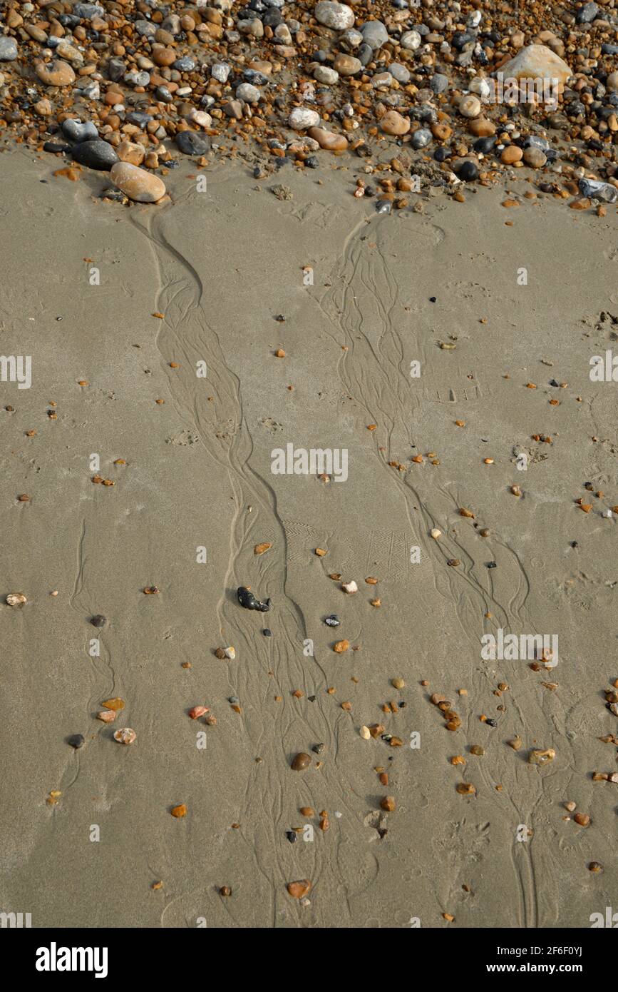 A sandy shoreline where sand meets pebble beach. A  retreating tide has caused tiny rivers in the sand as the water trickles over the sand. Stock Photo