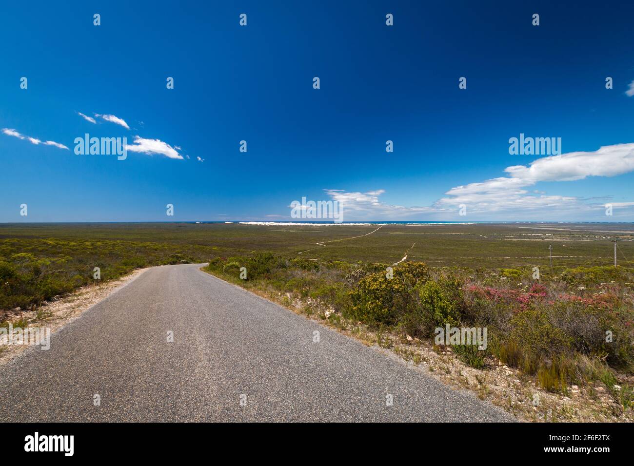 Scenic view of street leading to through fynbos vegetation De Hoop nature reserve with sand dunes at Atlantic Ocean coast, South Africa against sky Stock Photo